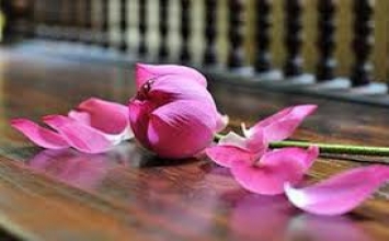 10 thứ không mua được bằng tiền